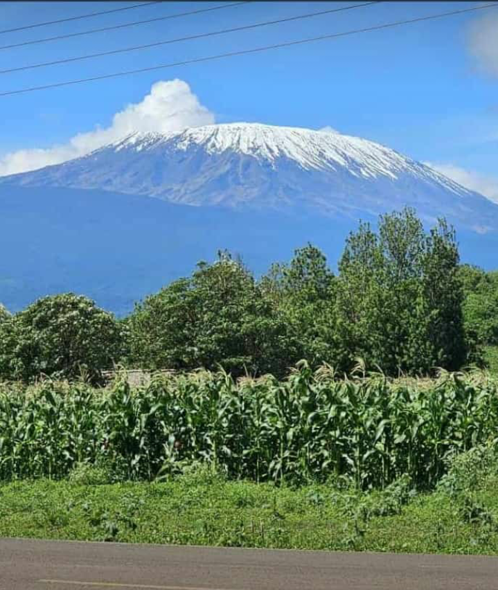 Climbing Kilimanjaro