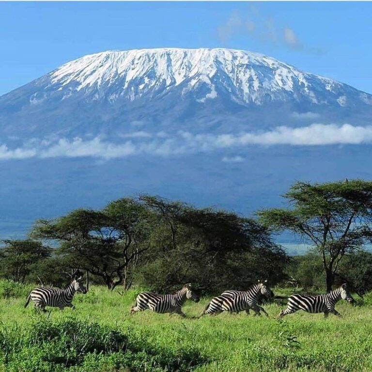 Mount Kilimanjaro