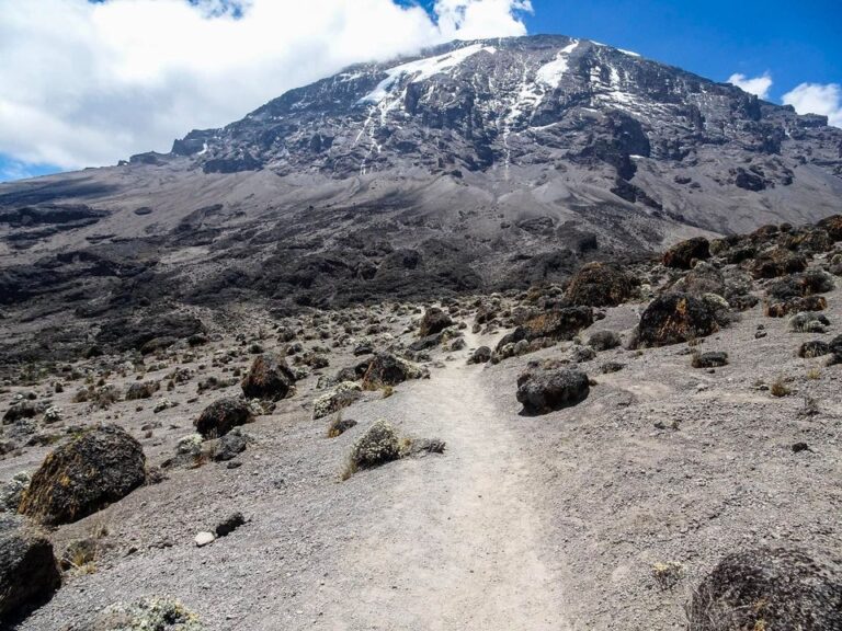 Mount Kilimanjaro climate