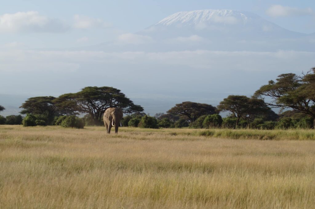 Amboseli National Park