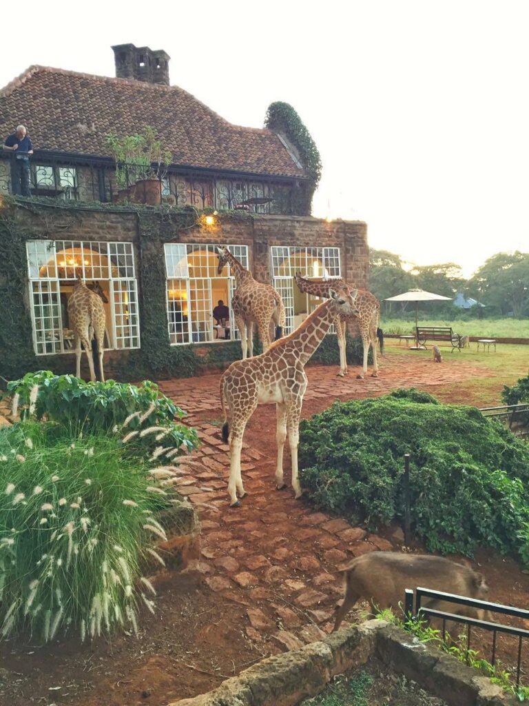 Giraffe Manor Nairobi