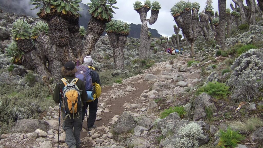 Mount Kilimanjaro routes