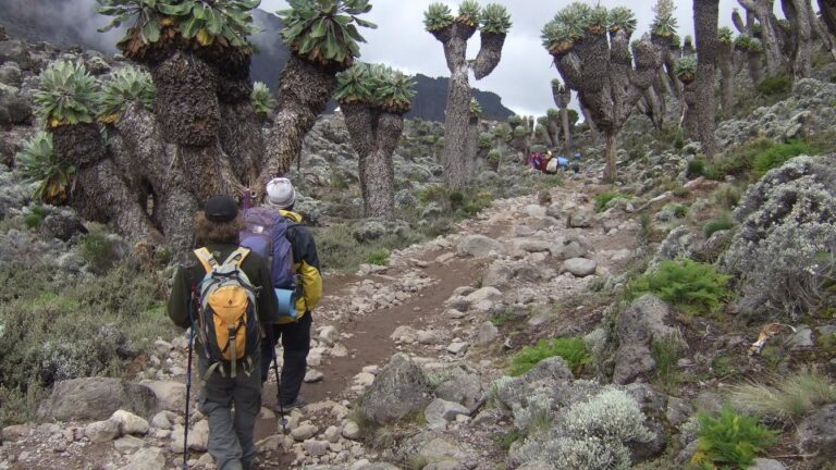 Best route to climb Mount Kilimanjaro