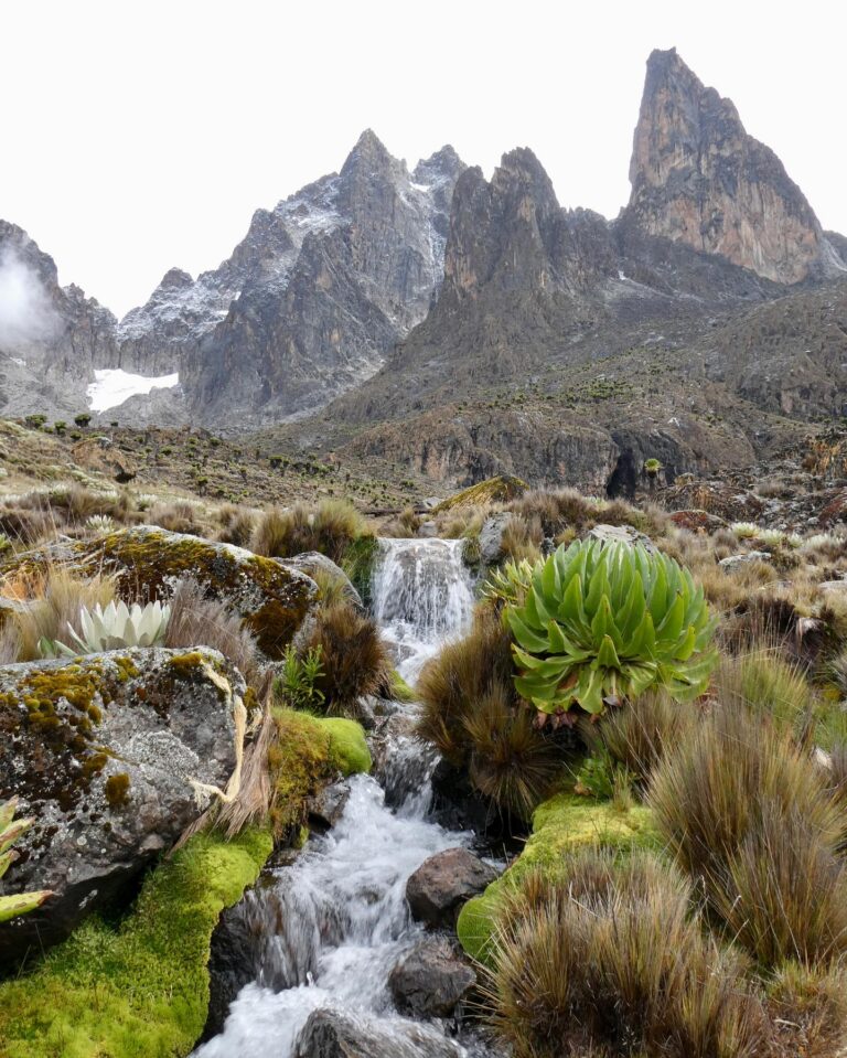 Mount Kenya National Park