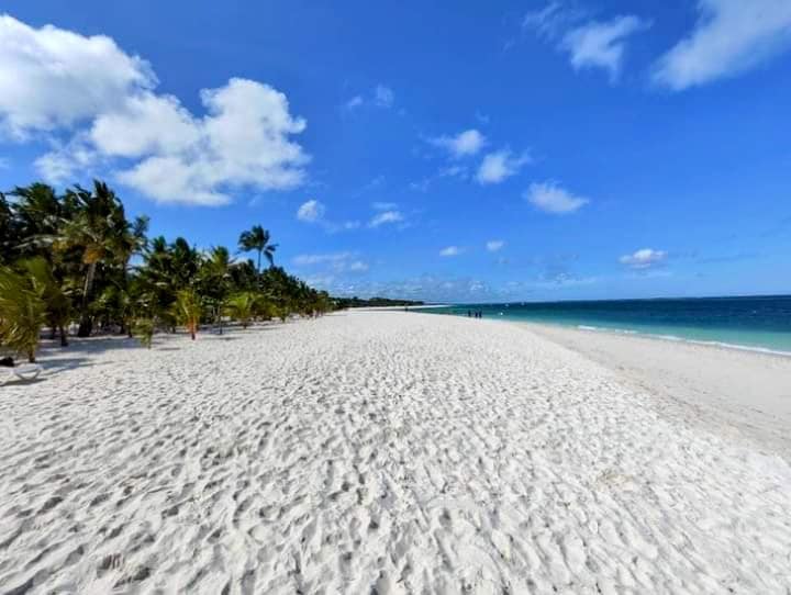 Zanzibar's white sand beaches