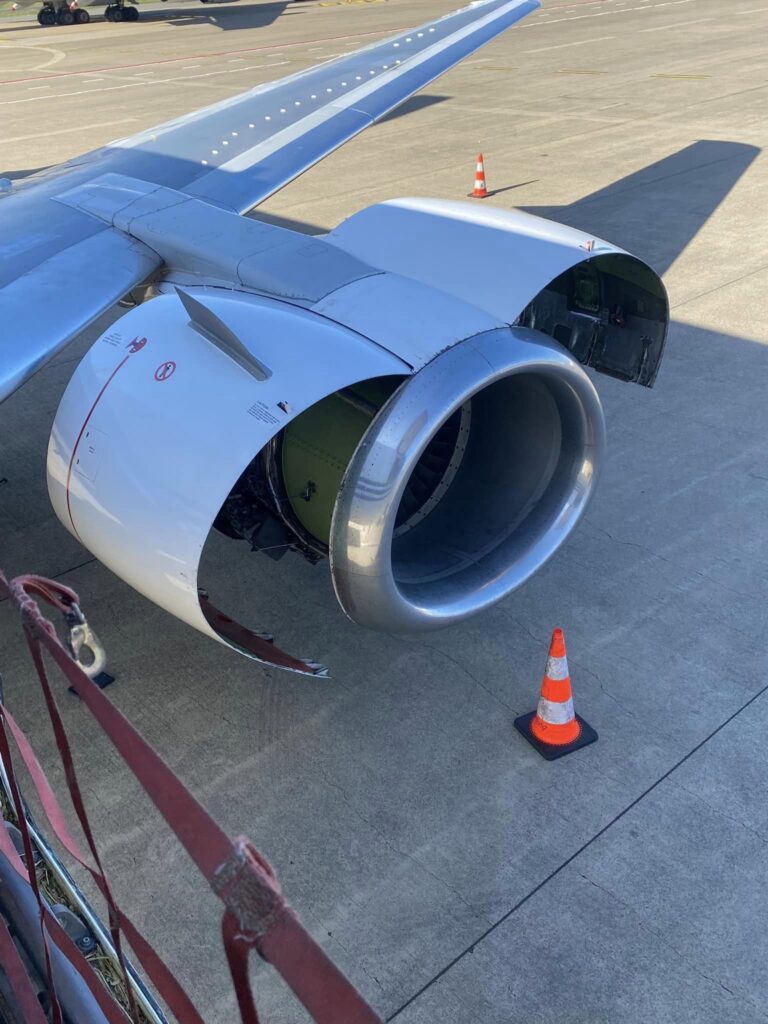 Bird strike engine damage