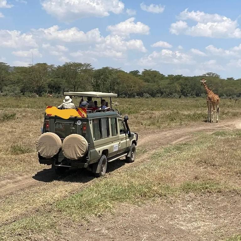 safari vehicles in Kenya